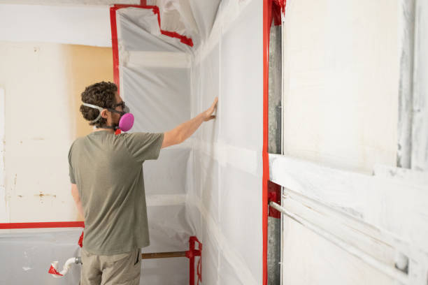 Mold Removal for HVAC Installations in Peach Springs, AZ