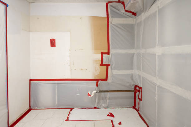 Best Residential Mold Inspection & Testing  in Peach Springs, AZ