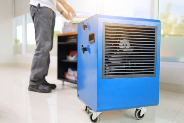 Trusted Peach Springs, AZ Mold Removal Experts