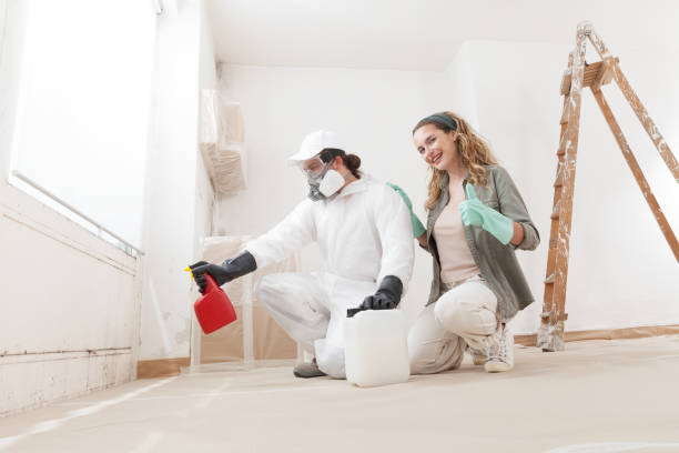 Best Asbestos and Lead Testing During Mold Inspection  in Peach Springs, AZ